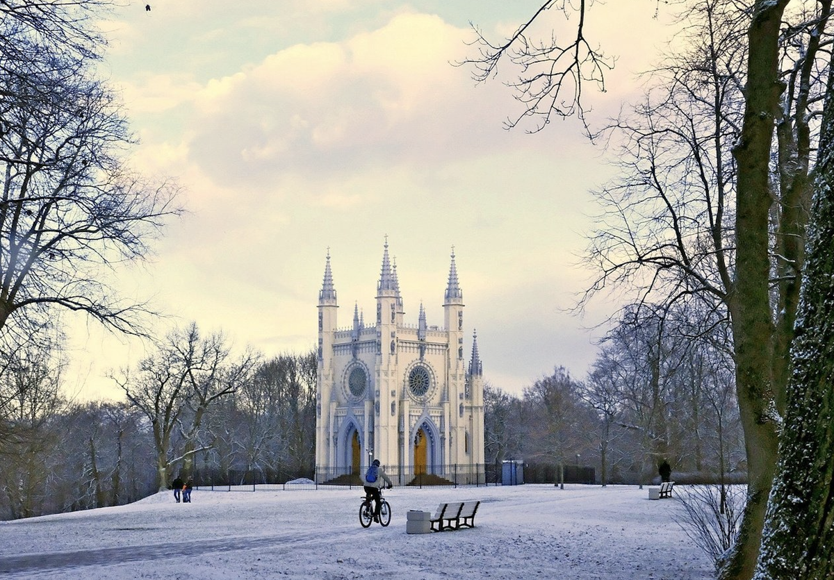 📸 На фото: Зима на фоне величественных деревьев парка Александрия.