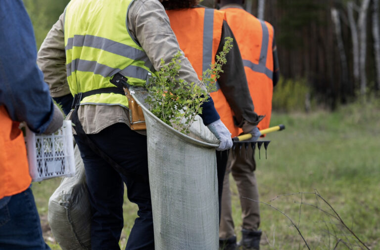    Фото: freepik.com/freepik Дмитрий Андреев