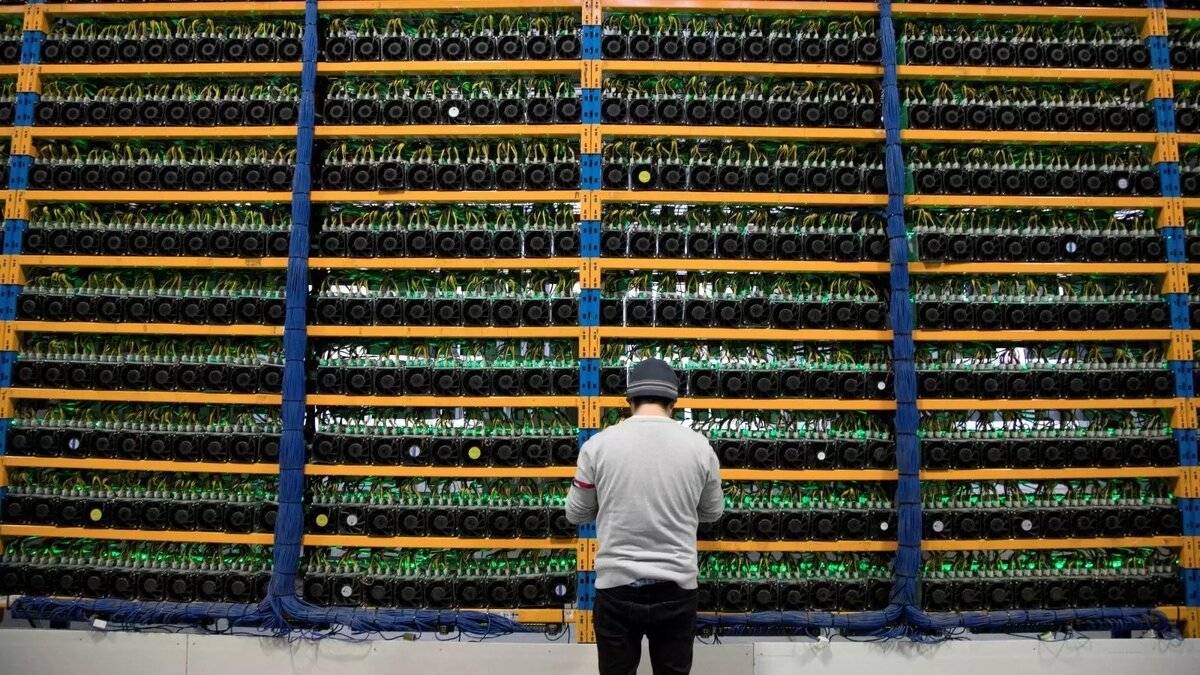 Черные майнеры Абхазии выжигают российское электричество. Фото: соцсети