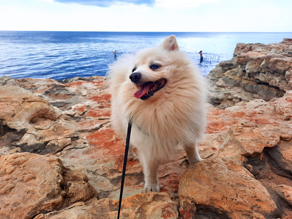 Пляжи Севастополя