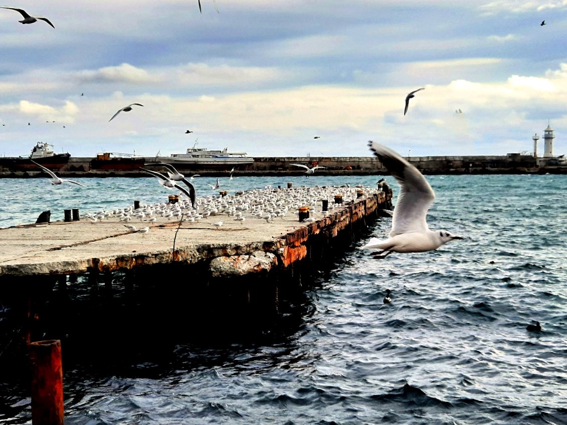 Набережная Ялты