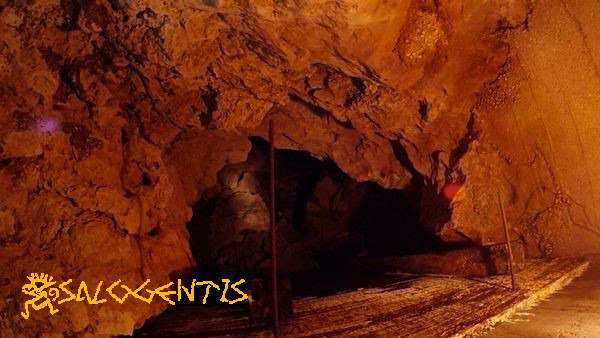 La vora di Andrano "вора" Андрано. Фото из интернета