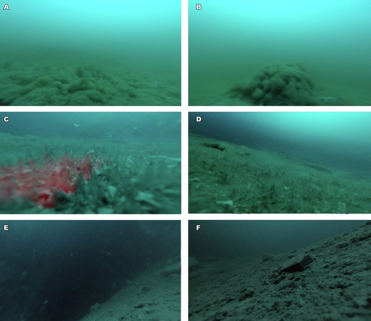 Изображения, сделанные через отверстия, просверленные в поверхностном льду озера Энигма толщиной 14 метров, показывают карман жидкой воды