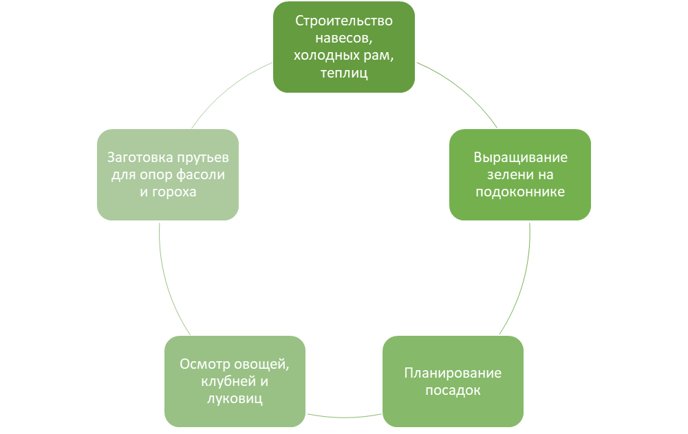 Пять дел в саду зимой