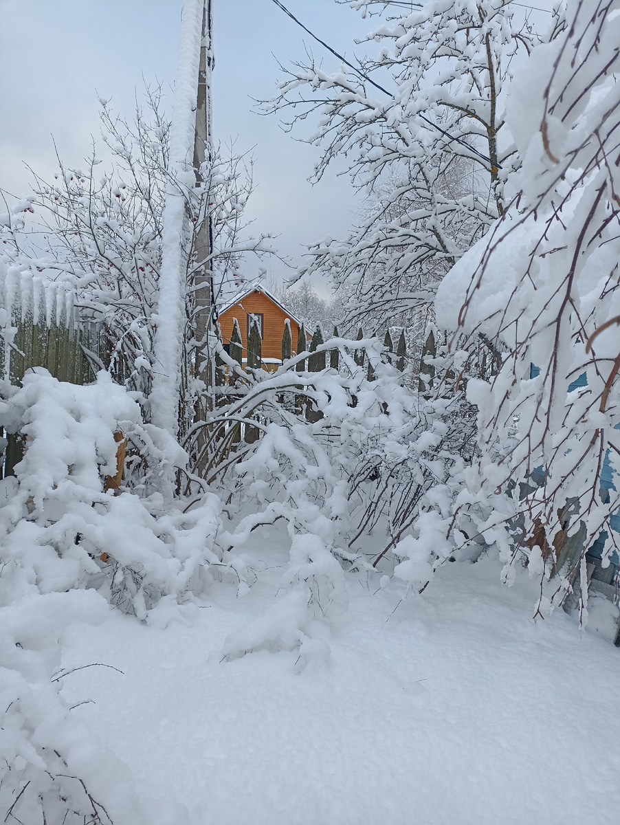 Красота на даче) 