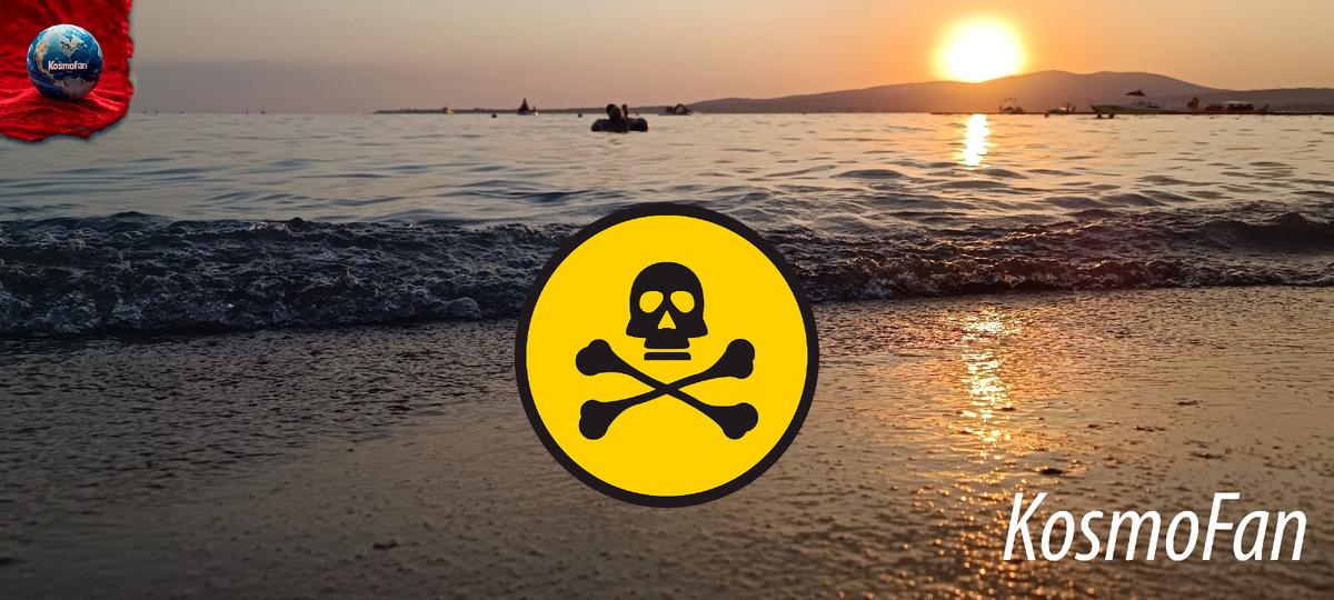 Галерея автора. 