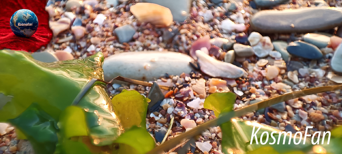 Галерея автора. Так чисто было... Это был мой отдых в Геленджике.