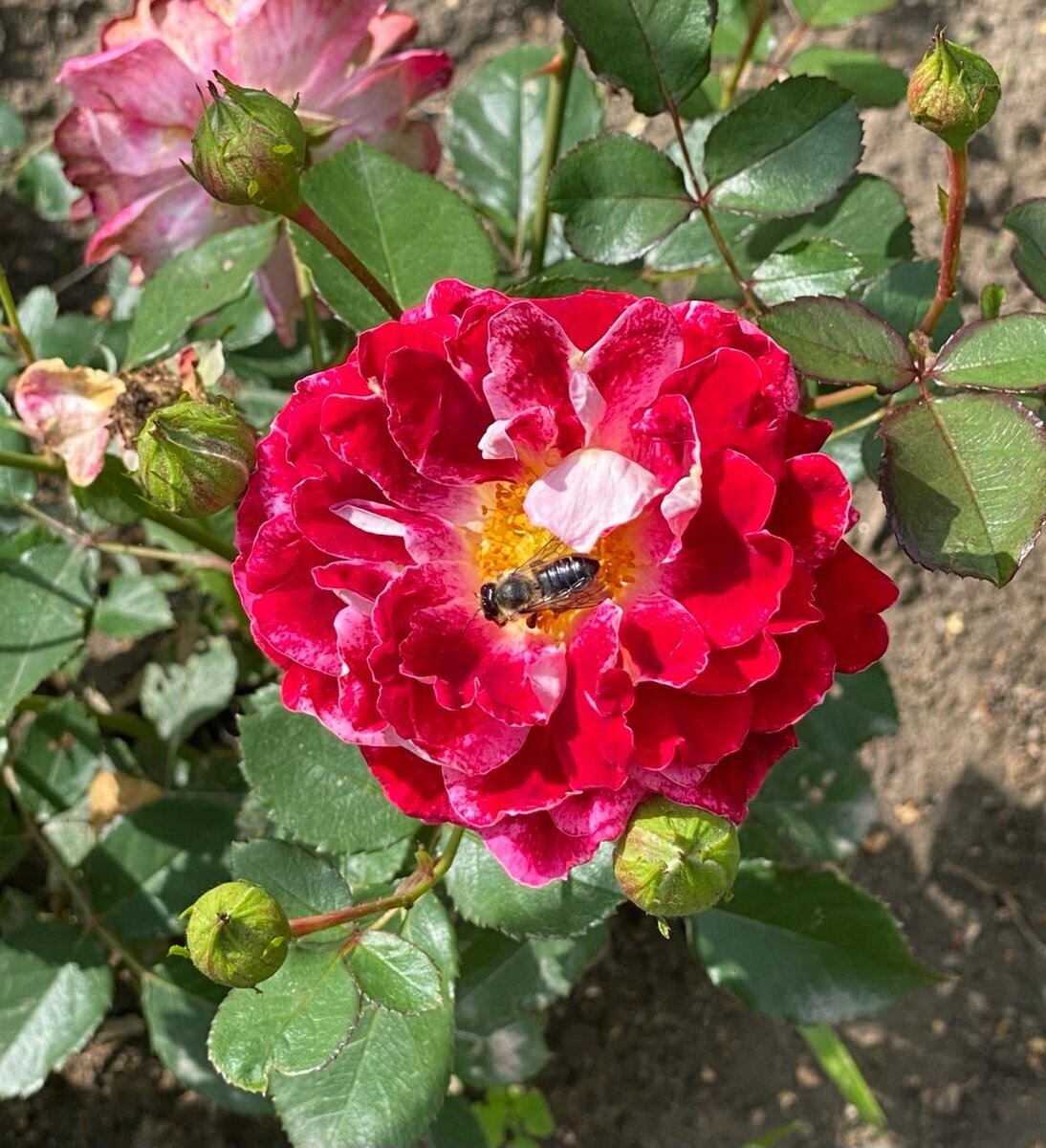 фото Натальи