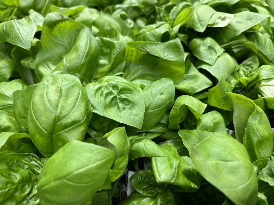  Фото Сергея Куликова