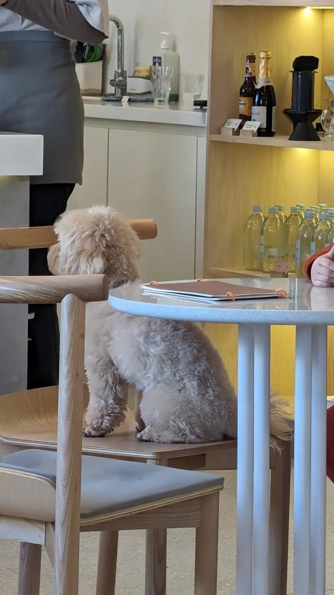 Замечен милый друг. Фото автора