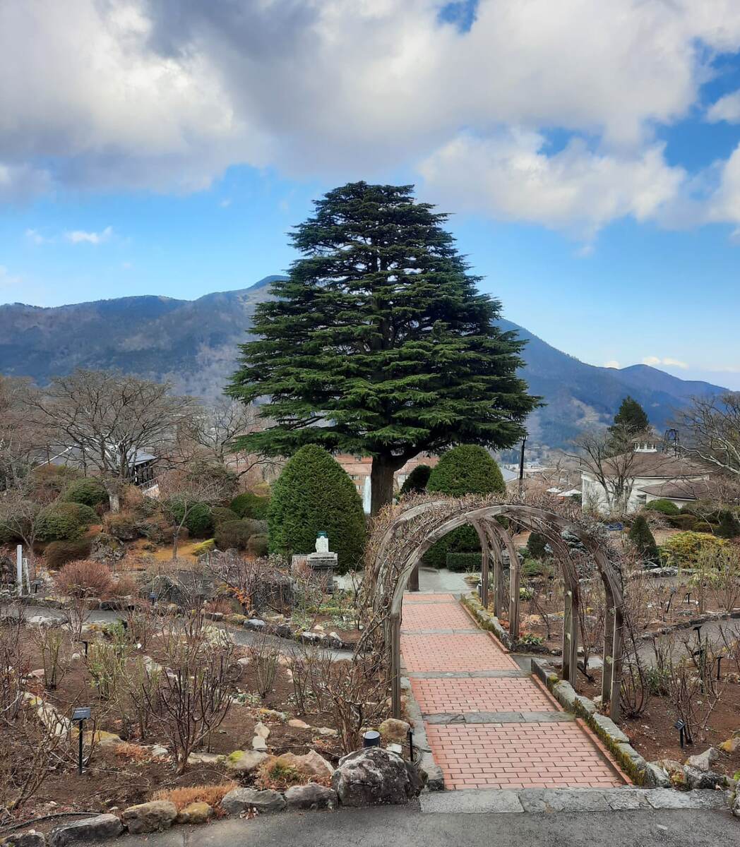 Фото сестры 