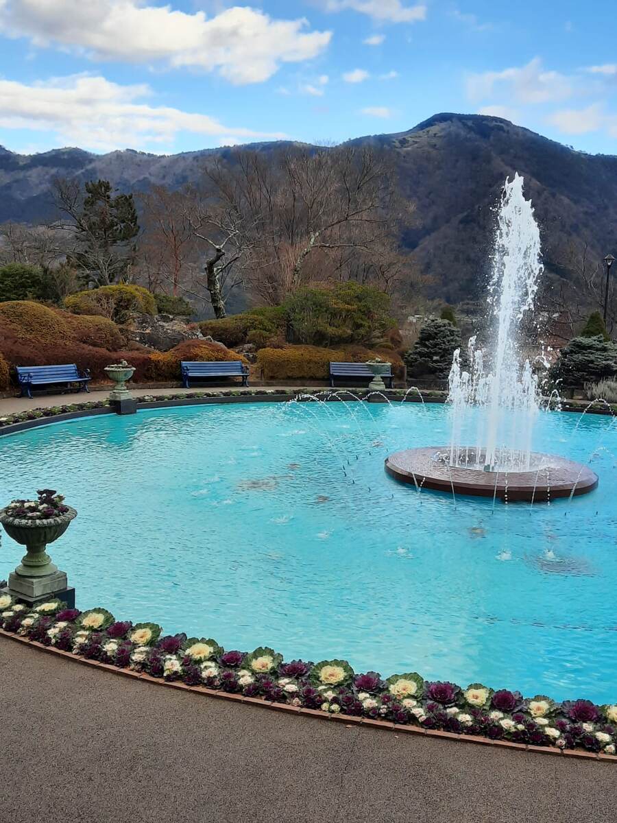 Фото сестры 