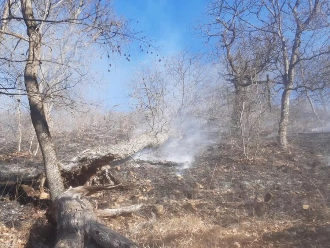 © official site of the Rescue Service of the MIA of RA