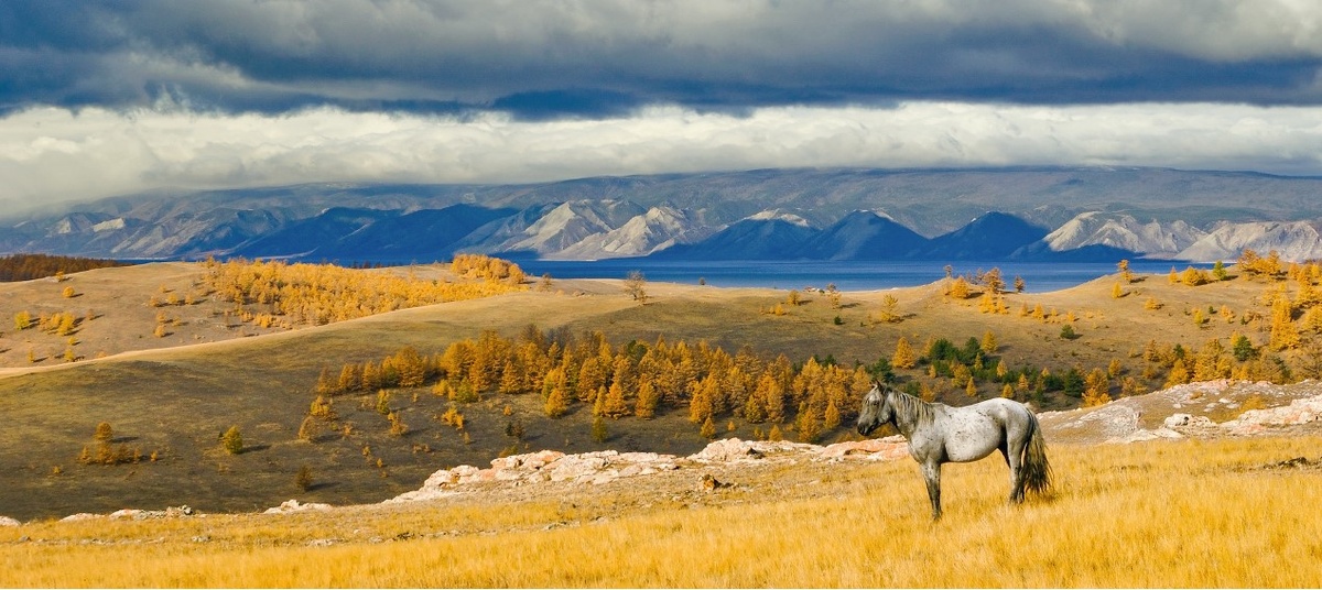 На мой взгляд это просто сказка