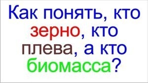 Грядущий царь