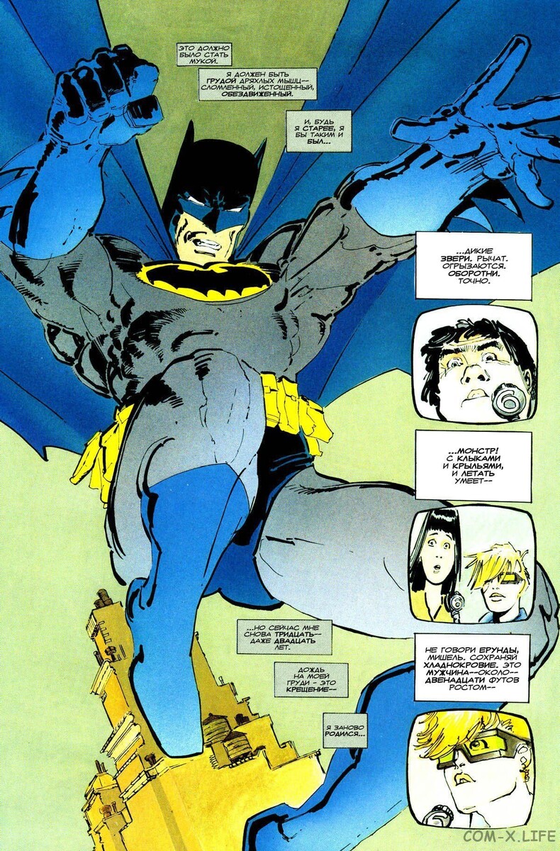 Внешний вид