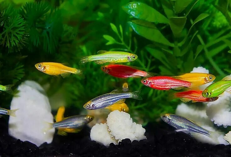 Фото автора. 