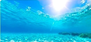 Добавьте описание