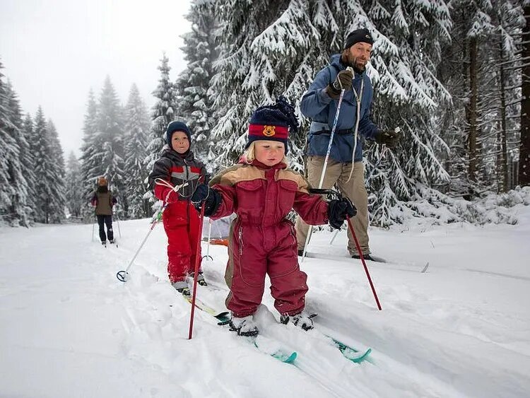 фотография из сети интернет