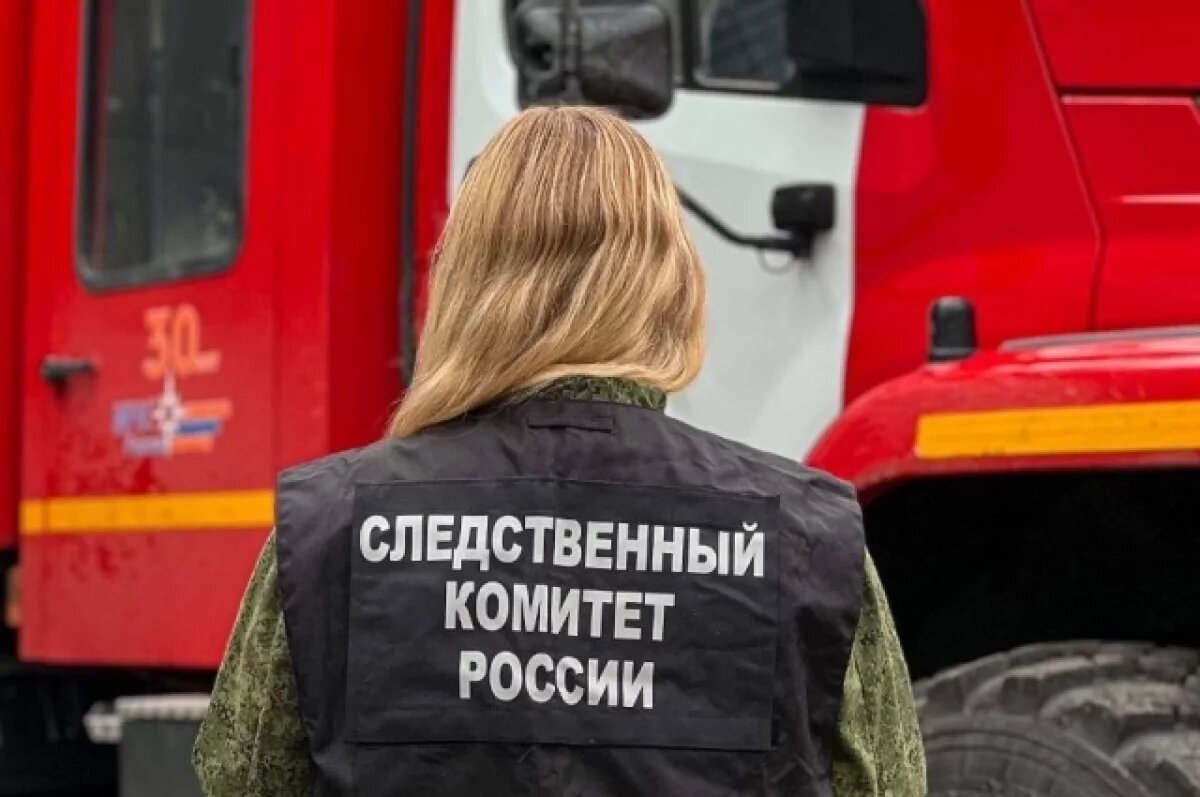    Один из близнецов, пострадавших на пожаре в Иркутске 1 января, погиб