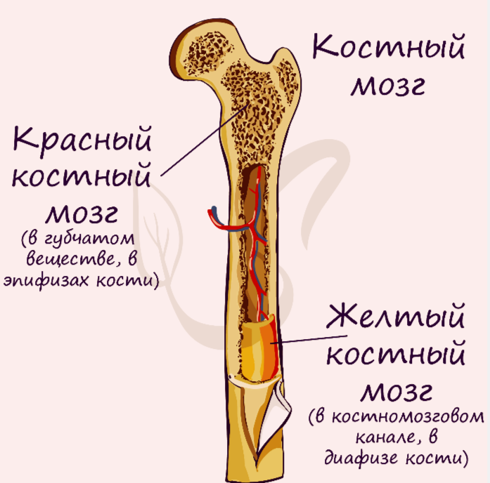 Измененное изображение для оформления статьи