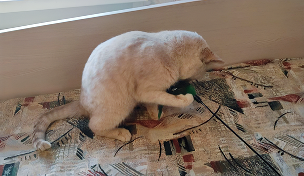 Понемногу осваивает игрушки