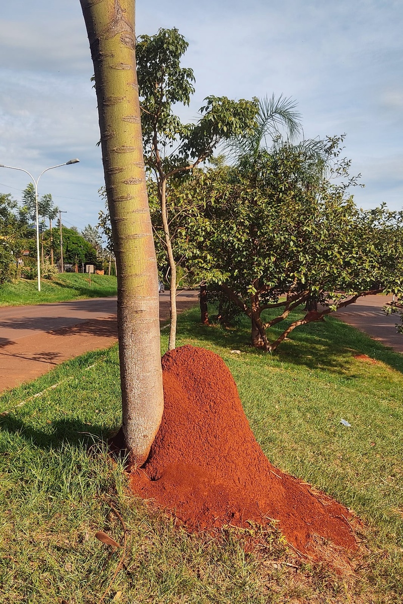 Рассадник этих чудовищ