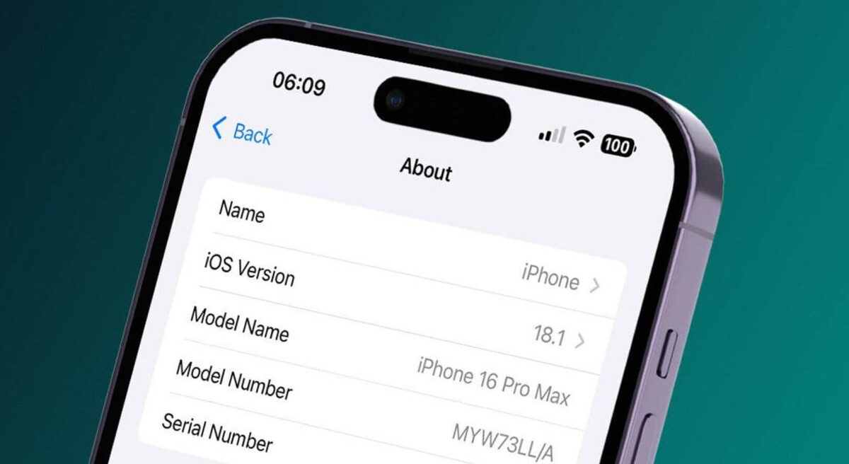    Рассказываем, для чего нужно знать номер модели iPhone. Фото: iPhone Life