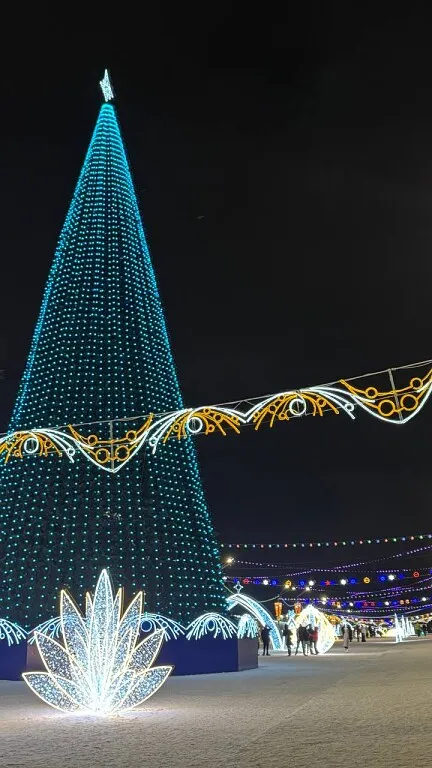 Елка центральная у драматического театра (ФОТОГРАФ ФЕТИНИЯ ЗАПОЛЬСКАЯ) 