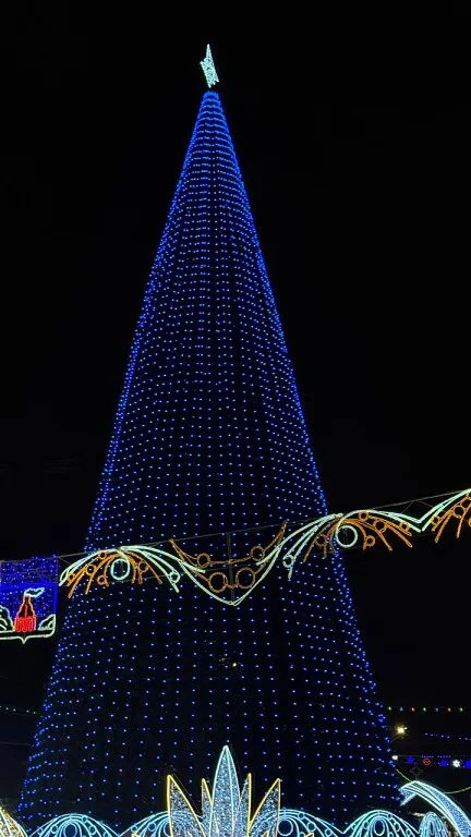 Елка центральная(ФОТОРГРАФ ФЕТИНИЯ ЗАПОЛЬСКАЯ)