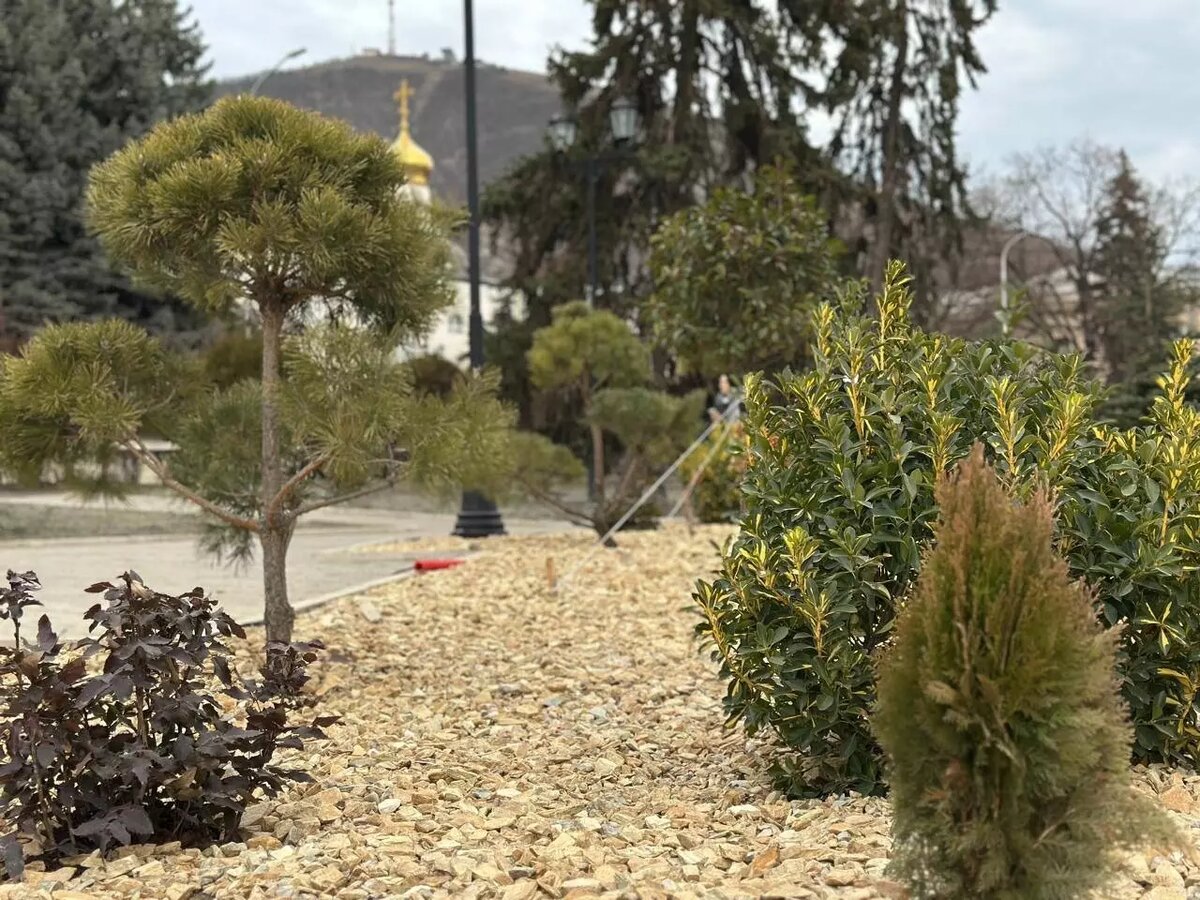     Источник: @voroshilov_dm