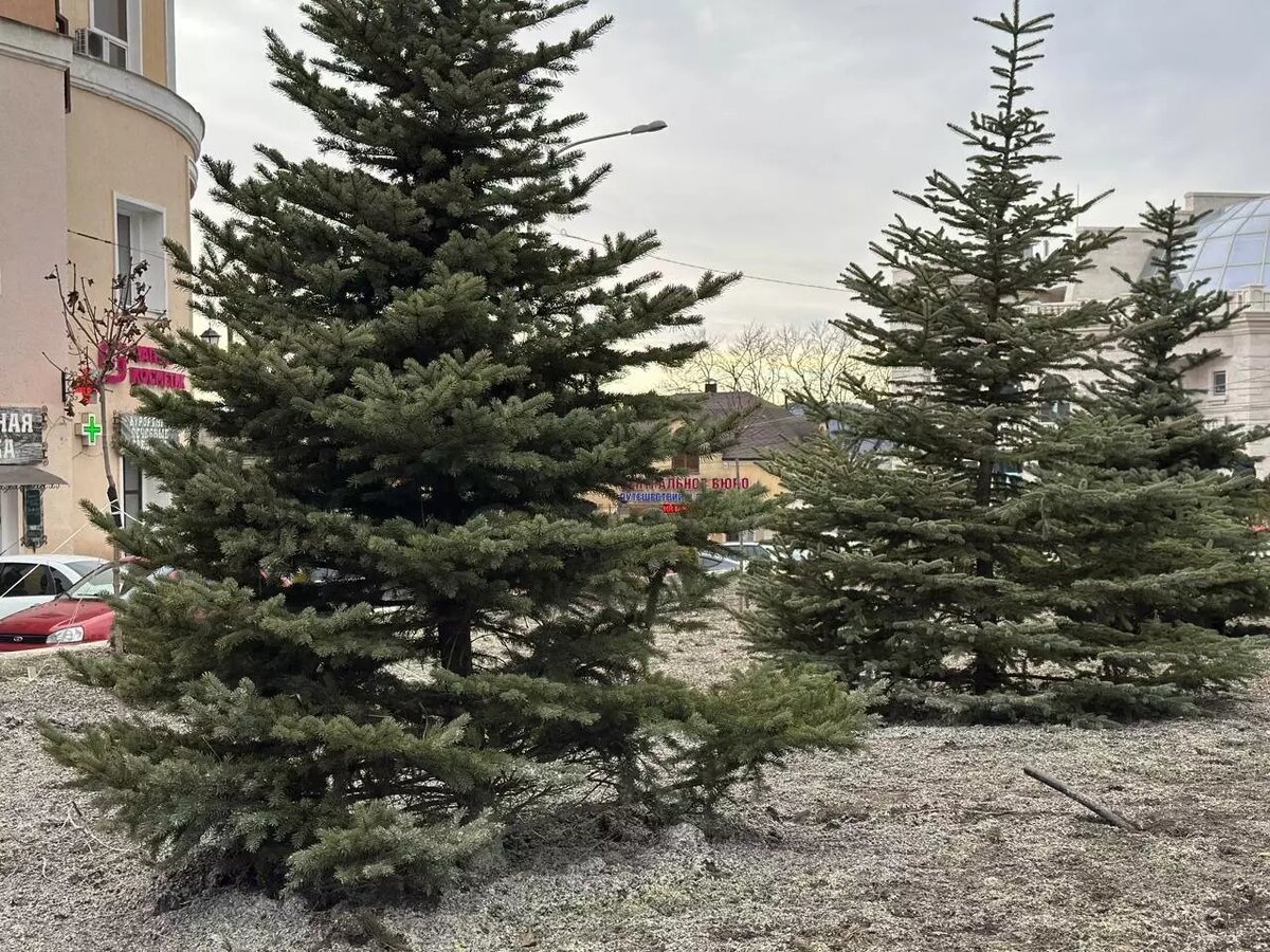     Источник: @voroshilov_dm