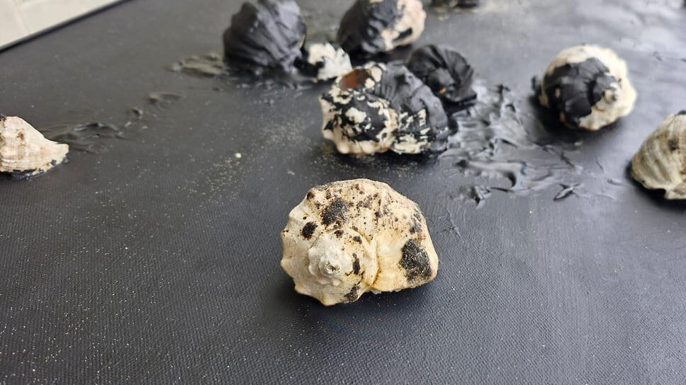 Фото: фото Натальи Черновой