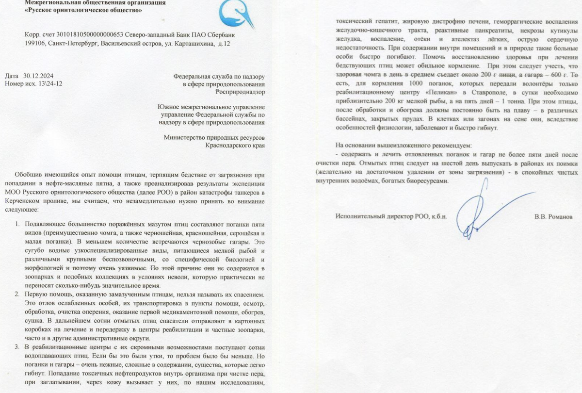    Фото: чат волонтёров "Разлив нефти в Анапе"