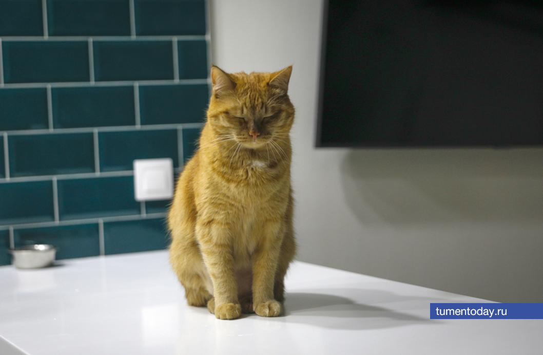  Фото Екатерины Христозовой