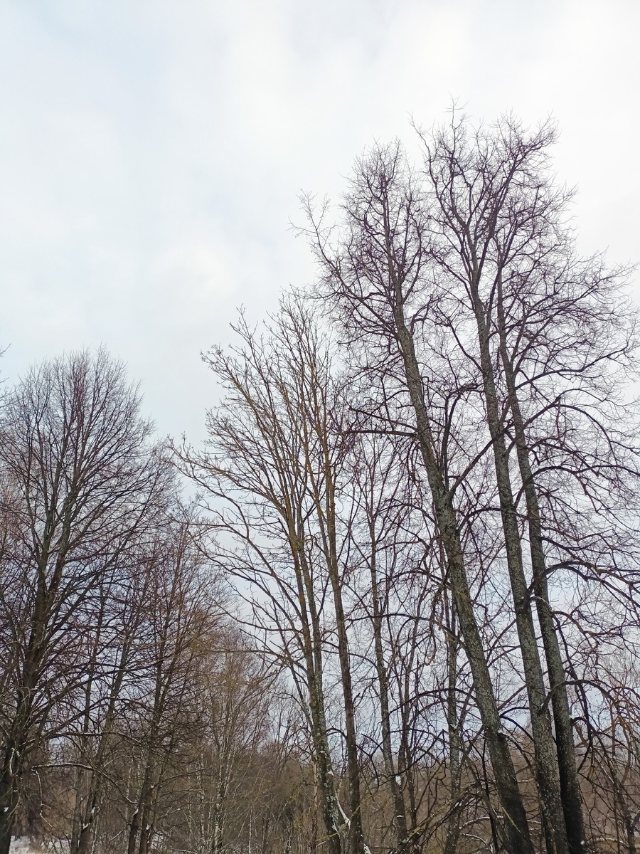 У меня плохое настроение, потому что нету солнца.