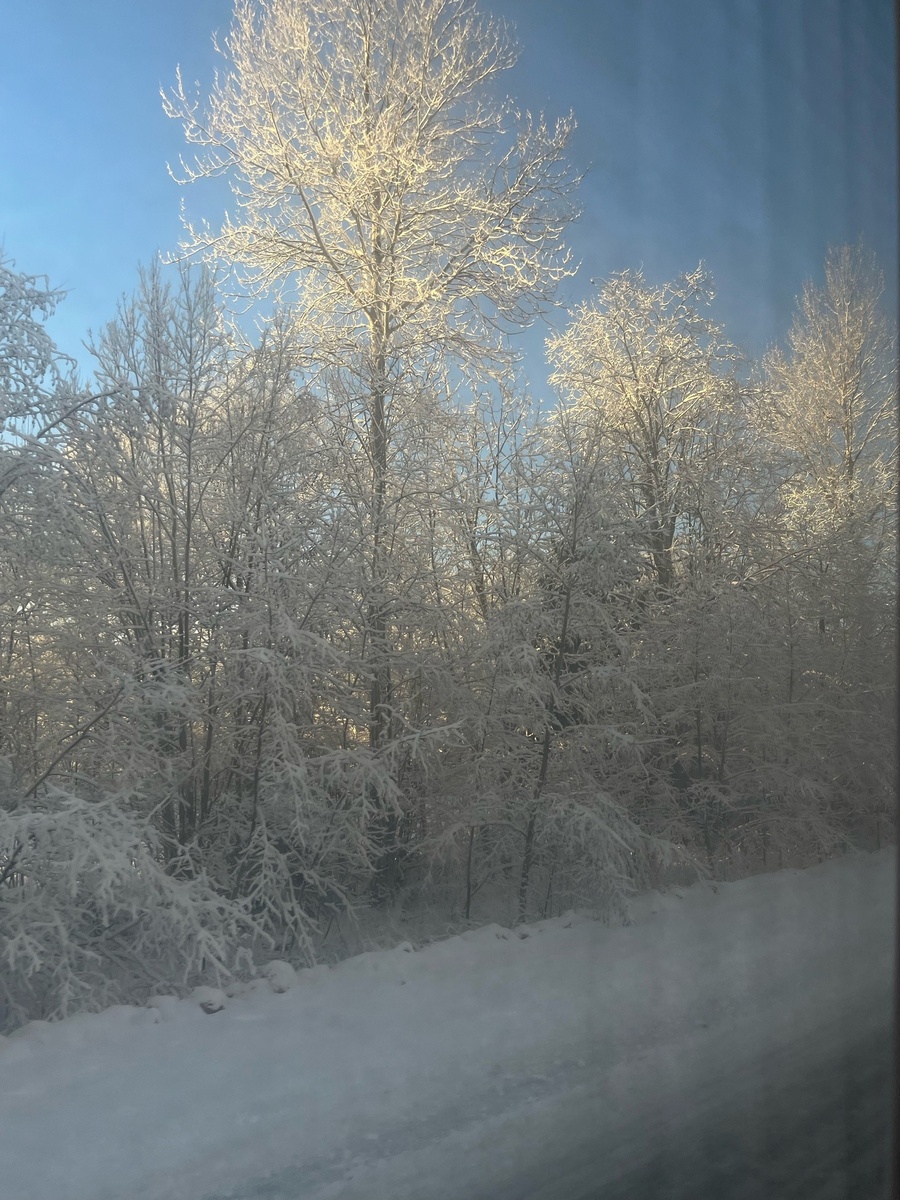 В чудеса надо верить, но понимать, что встречаются они редко и принцы по нашим улицам редко проезжают.