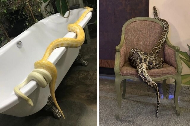    Фото: Горсайт/ Фото предоставлено Дианой Шубенковой