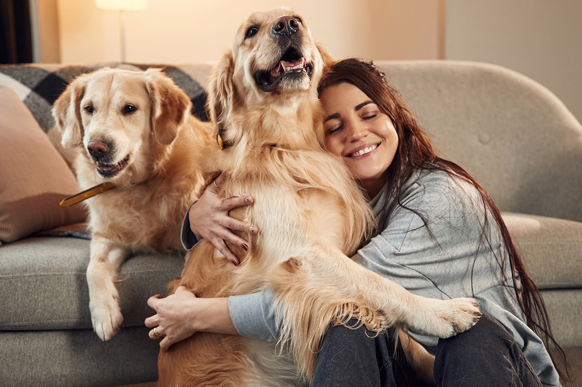 Иногда кажется, что собака ревнует, хотя она просто защищает свою территорию