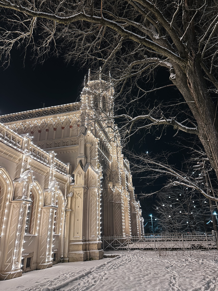 Фото: Алиса в Петербурге
