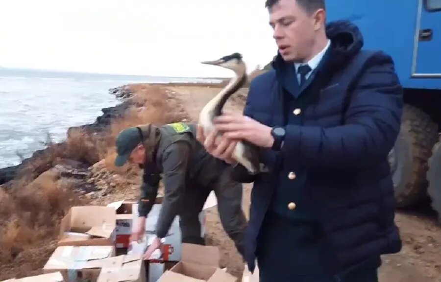 Фото: оперштаб Краснодарского края.
