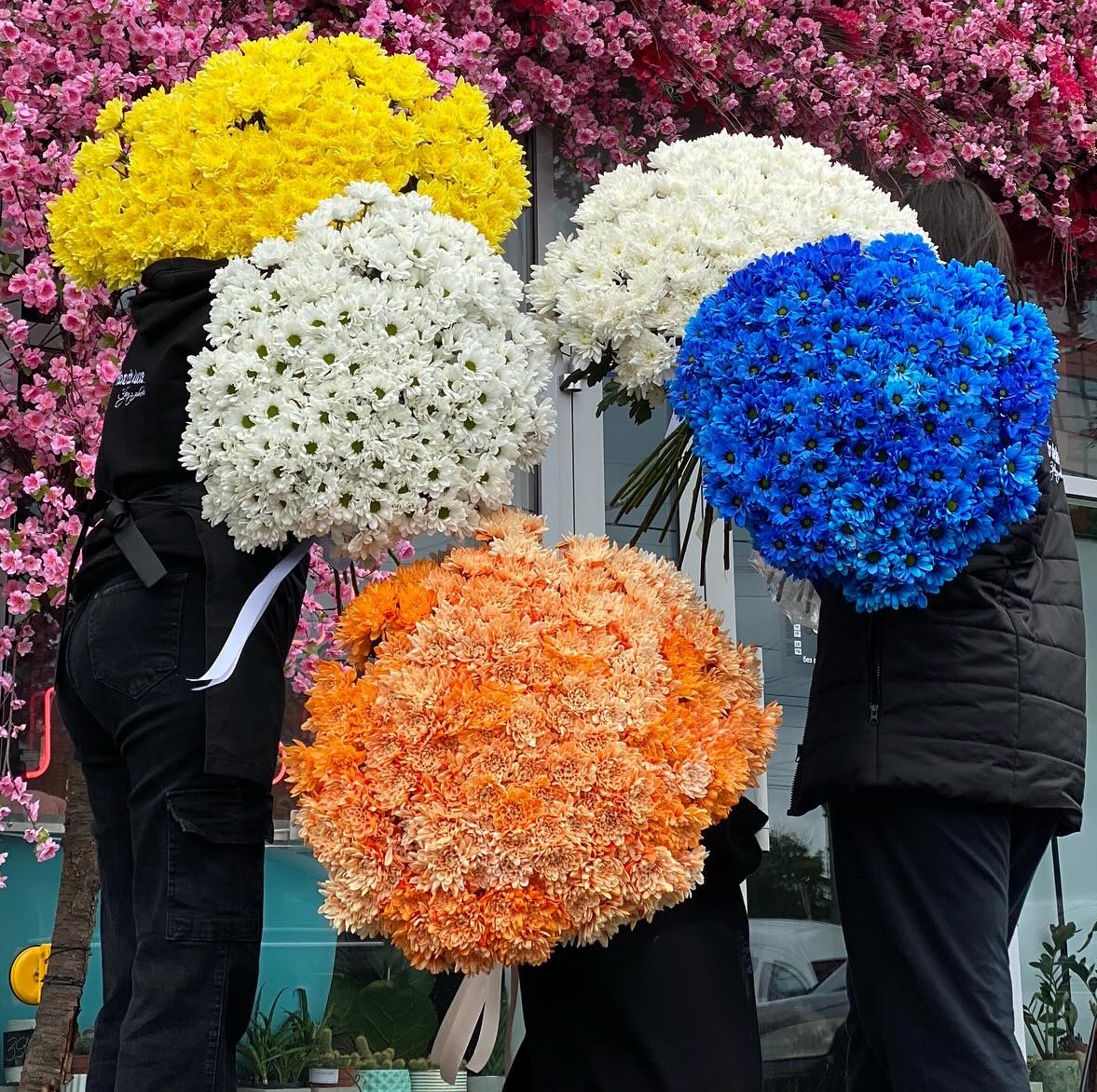 Какого цвета цветты хризантемы: синий, оранжевый, белый, желтый