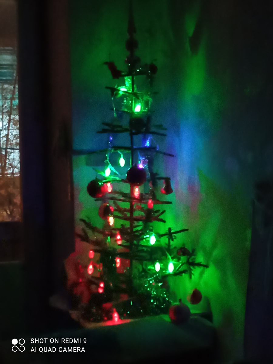 Ёлка у нас дома  Фото Мурзилки