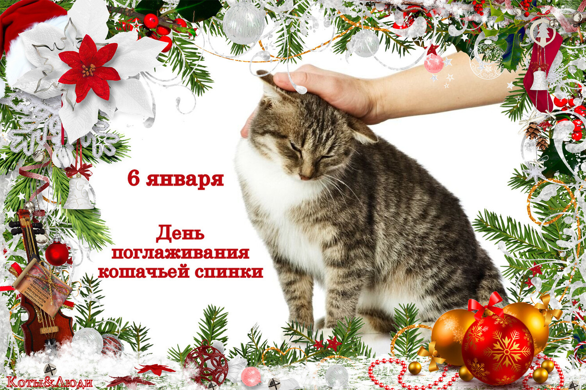 Коллаж автора