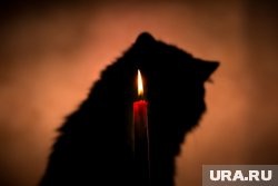    Святки – это период от Рождества Христова до Крещения Господня, время, когда, по народным поверьям, граница между мирами становится тоньше