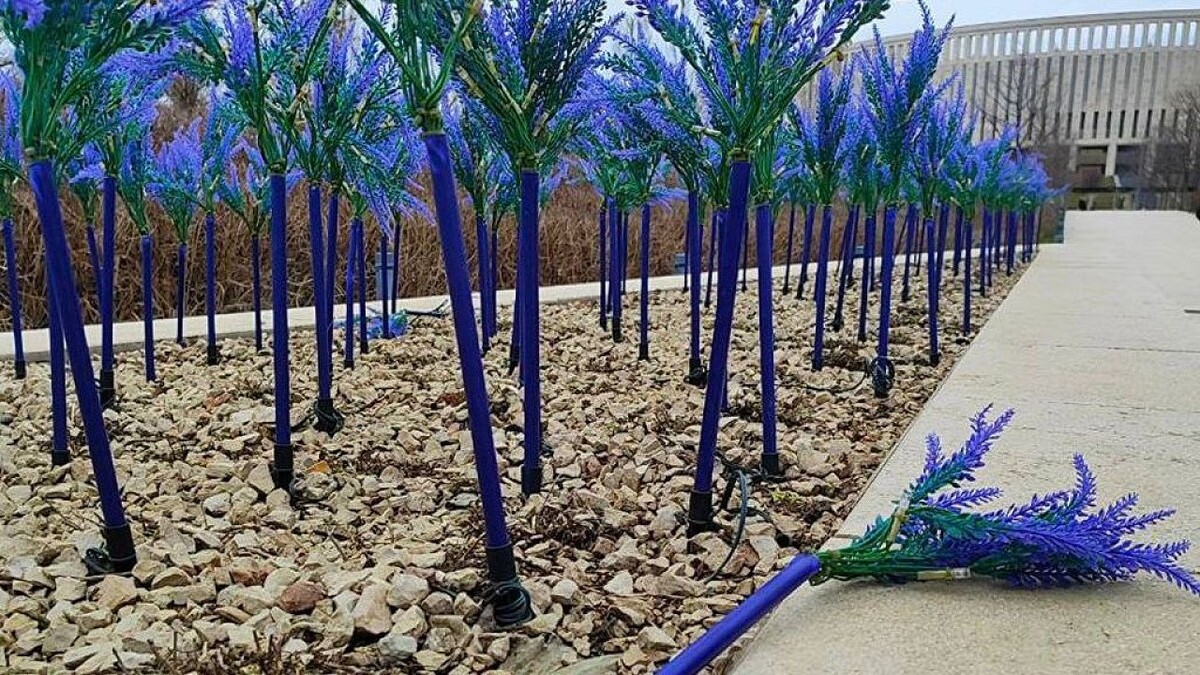    Фото: автор Telegram-канала «Парк Галицкого Краснодар» Танна Кэролл