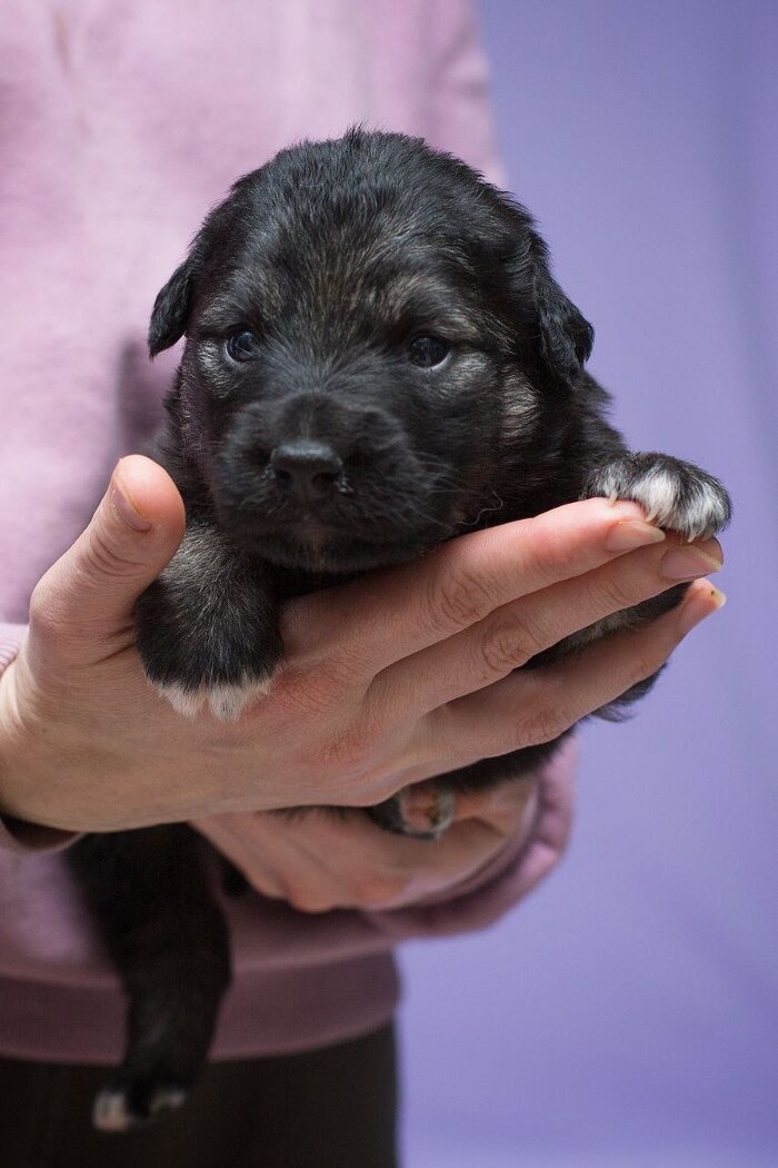 Листайте вправо, чтобы увидеть больше изображений