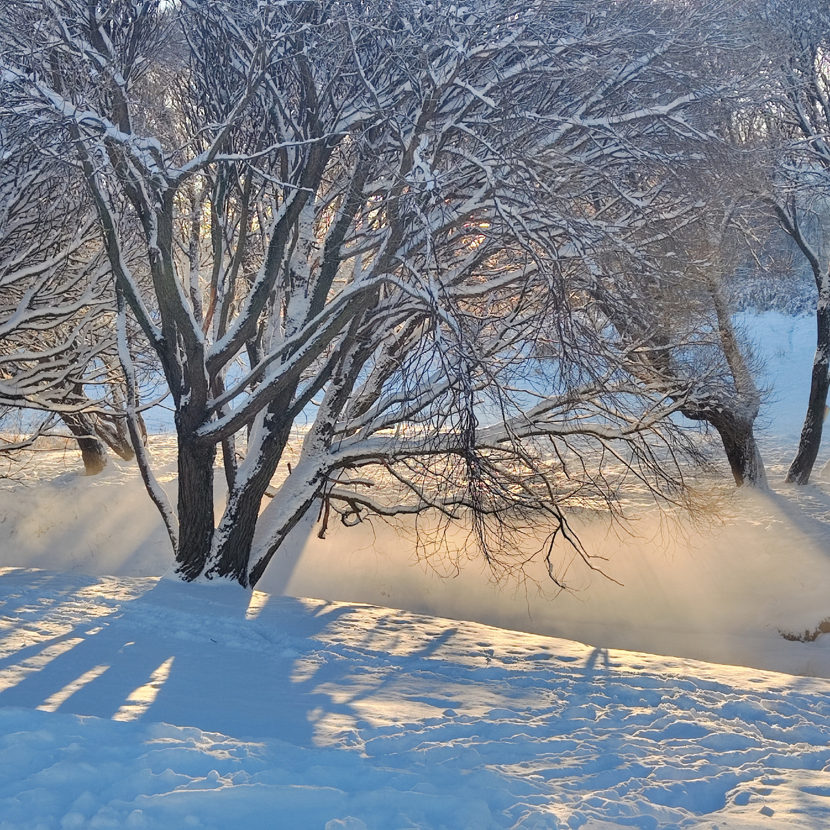 Таро-разбор Сна про бункер