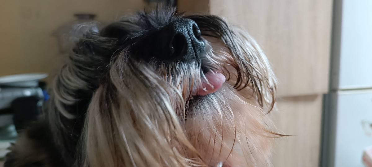 Прошедший 2024 год для Лёвы был сложный. 