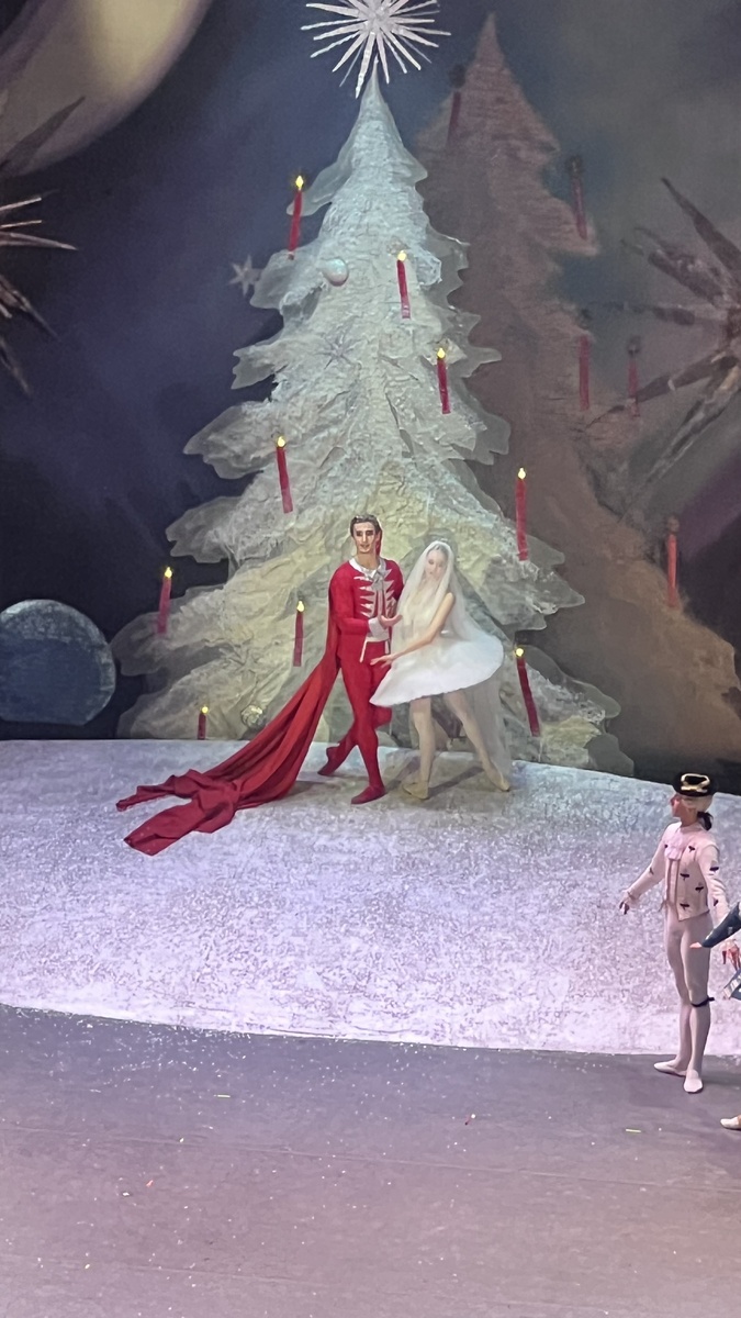 Свадьба Принца и Мари